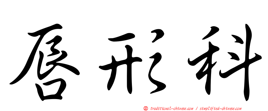 唇形科