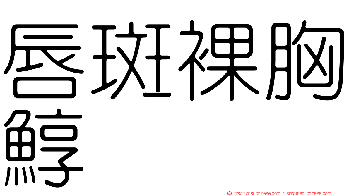 唇斑裸胸鯙