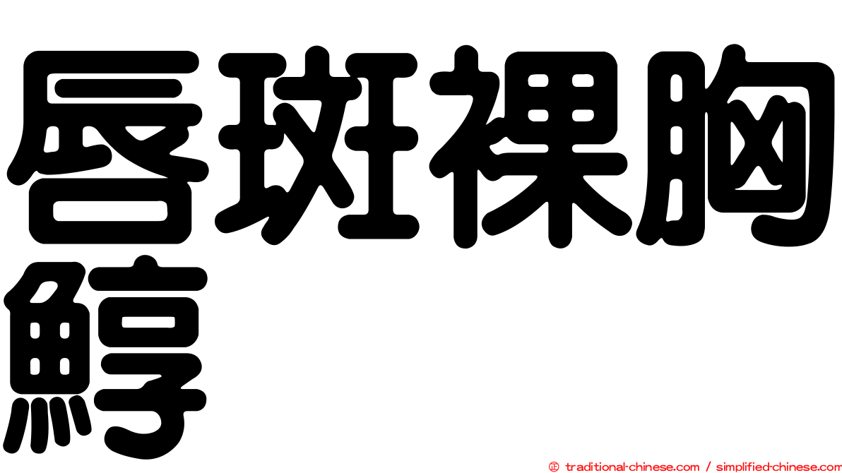 唇斑裸胸鯙