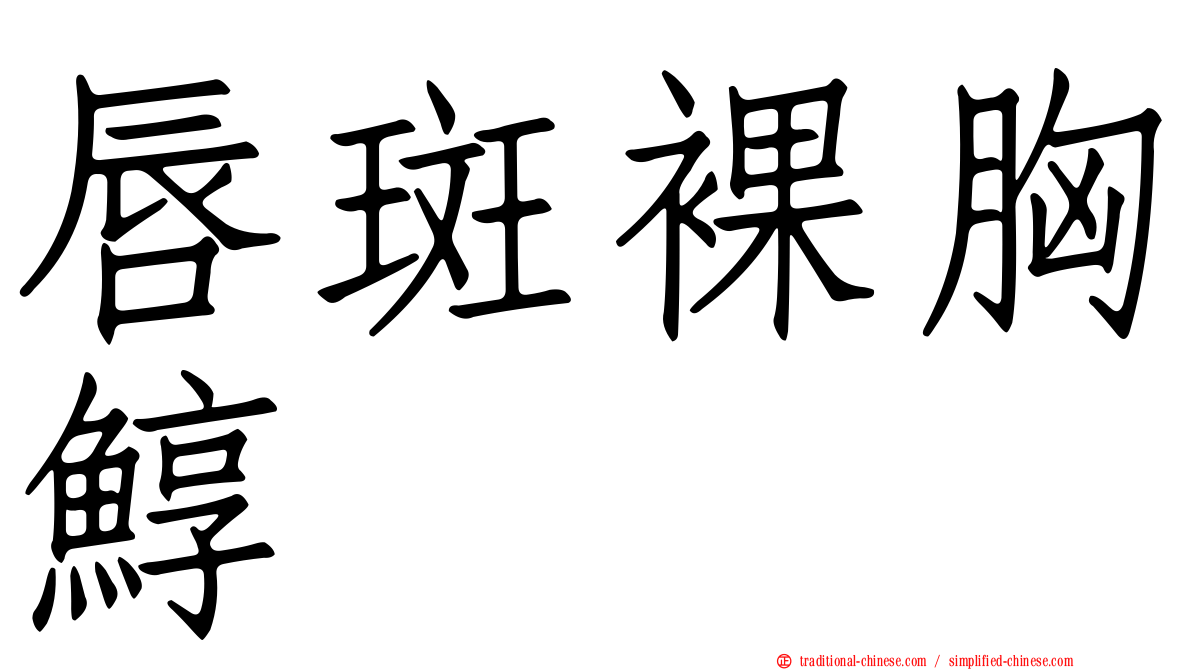 唇斑裸胸鯙