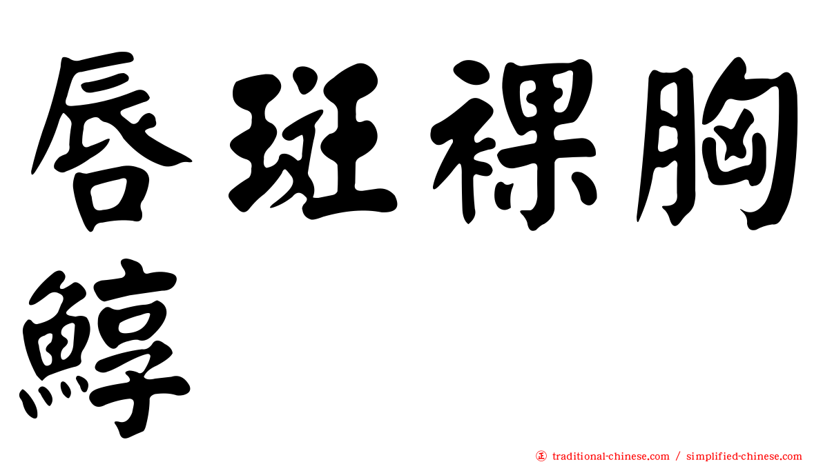 唇斑裸胸鯙