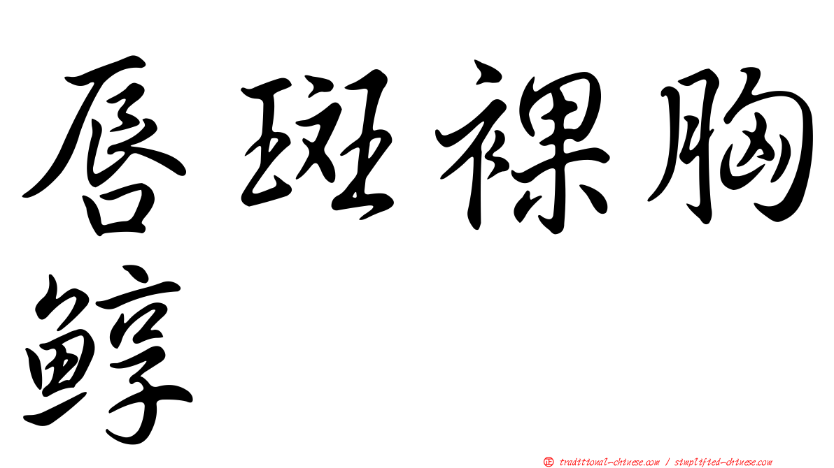 唇斑裸胸鯙