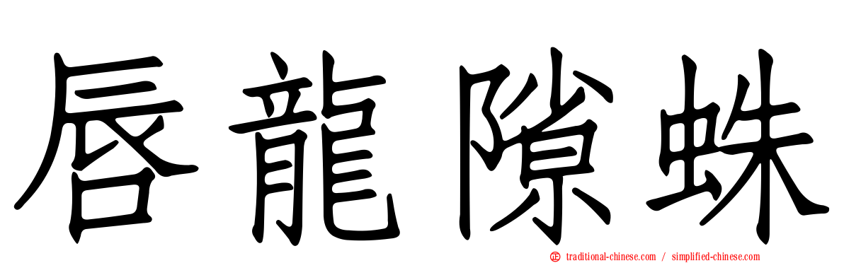 唇龍隙蛛