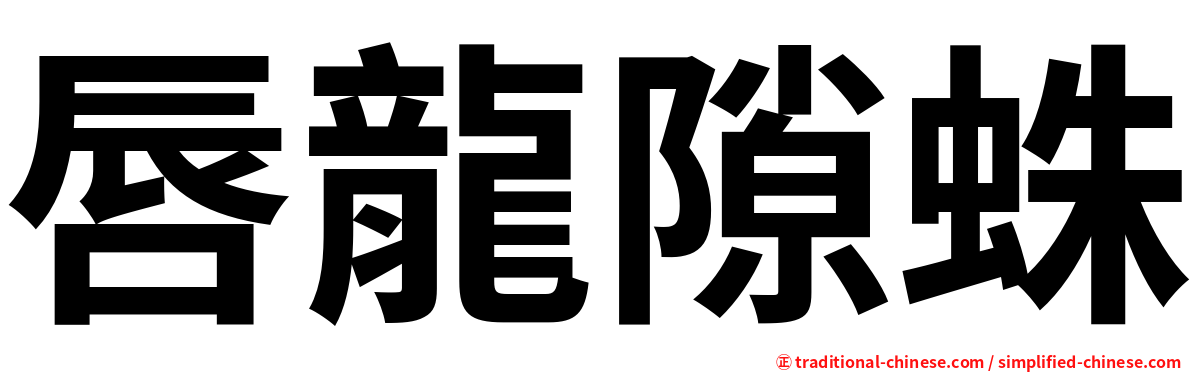 唇龍隙蛛