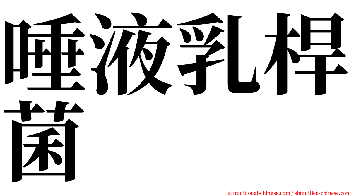 唾液乳桿菌 serif font