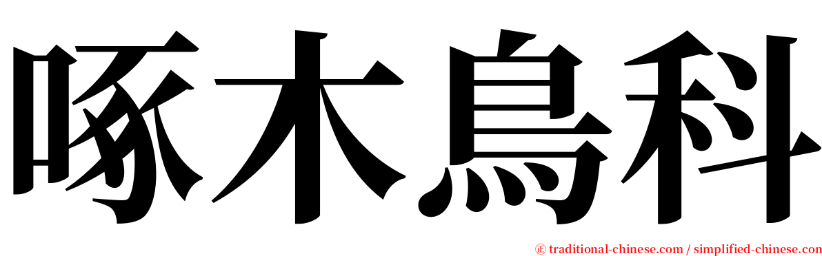 啄木鳥科 serif font