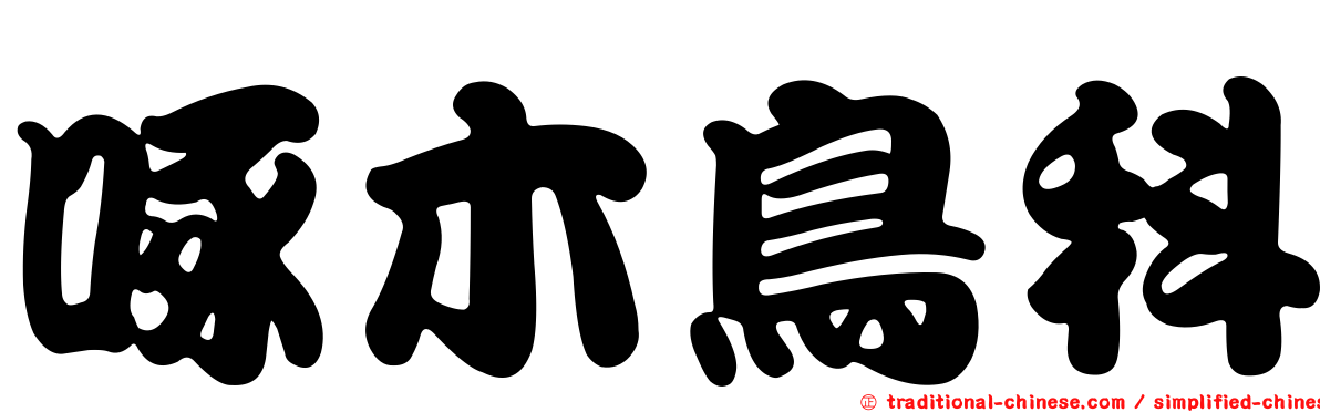 啄木鳥科