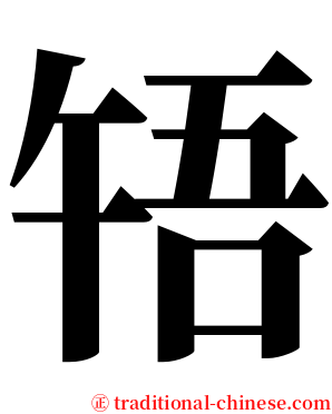 啎 serif font