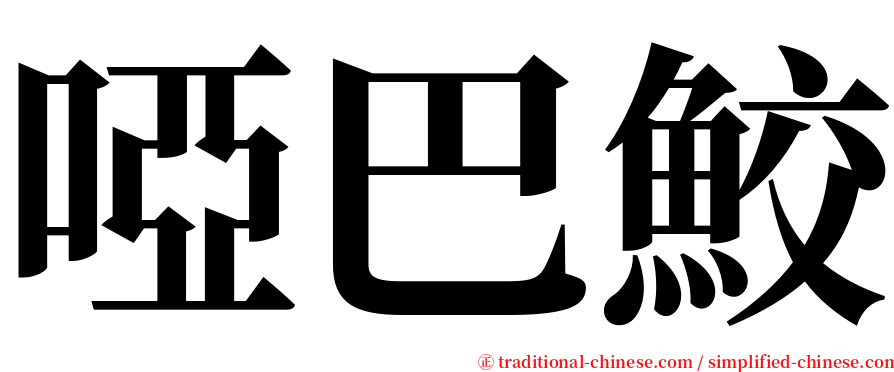 啞巴鮫 serif font