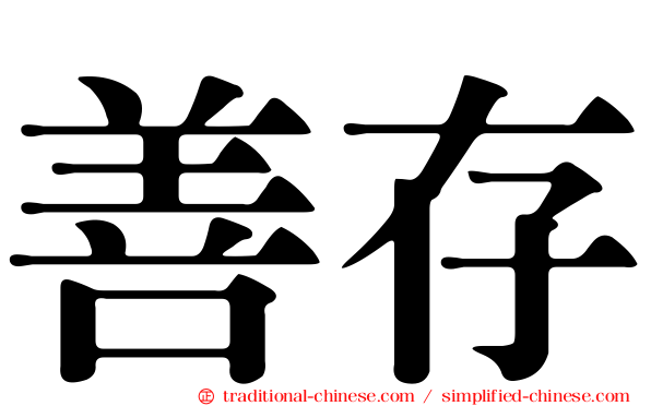 善存