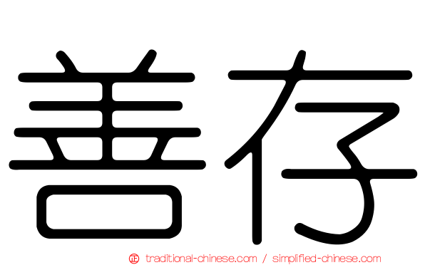 善存