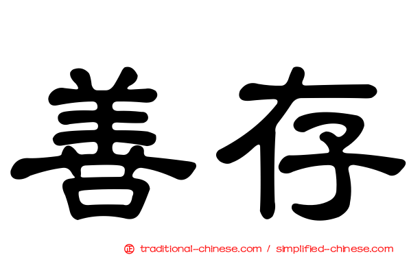 善存