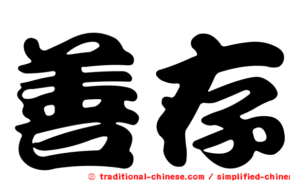 善存