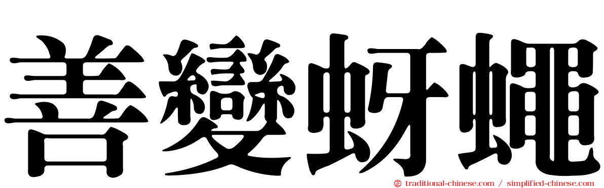 善變蚜蠅