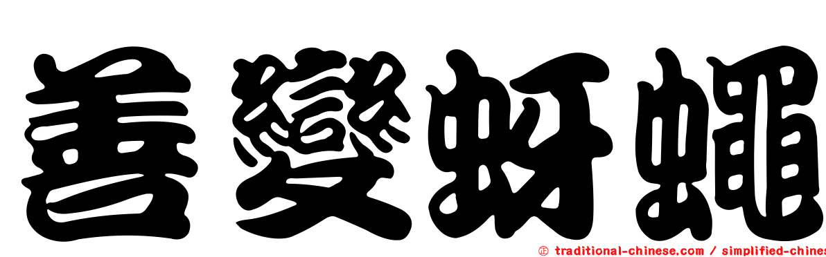 善變蚜蠅