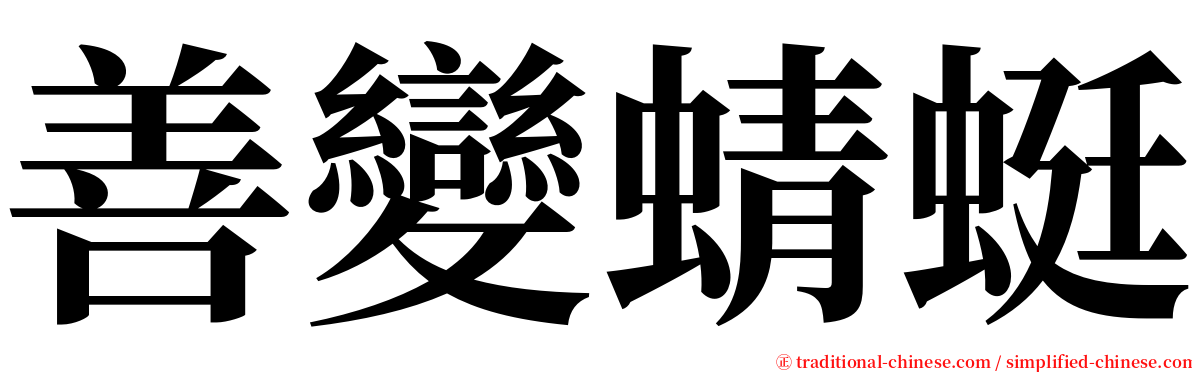 善變蜻蜓 serif font