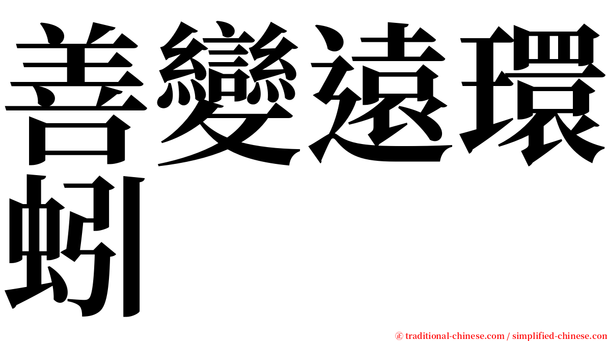 善變遠環蚓 serif font