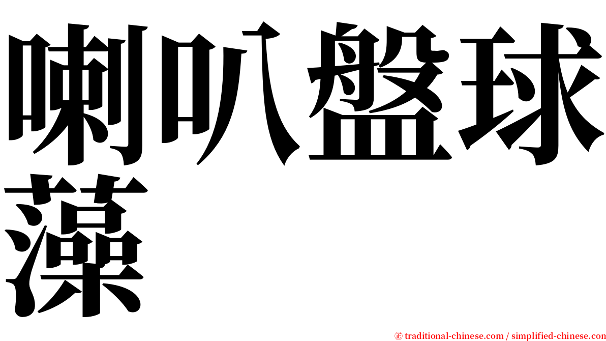 喇叭盤球藻 serif font