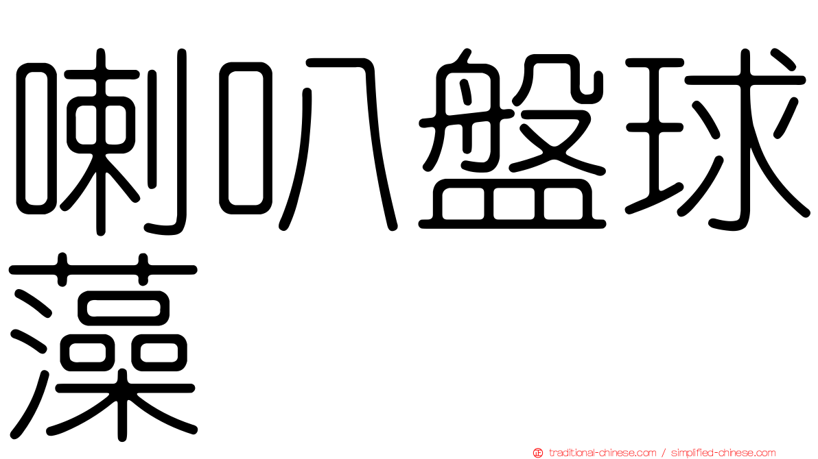 喇叭盤球藻