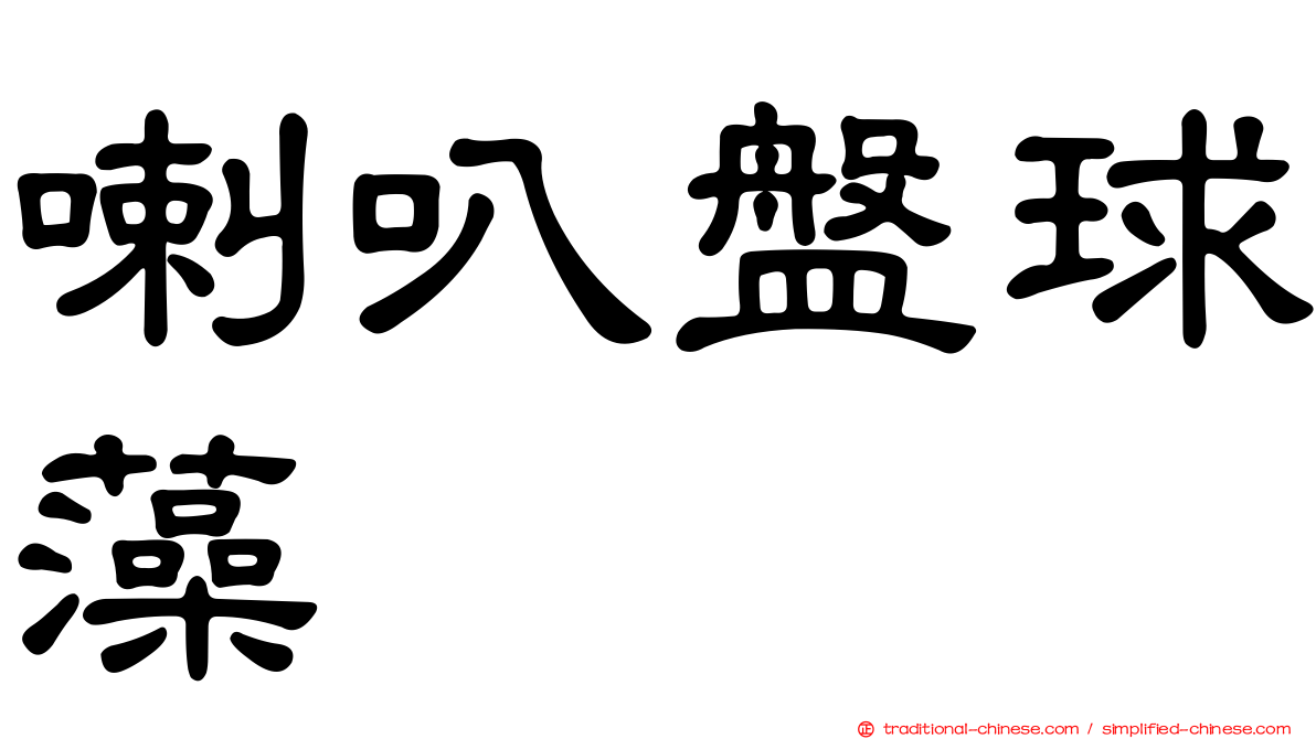 喇叭盤球藻