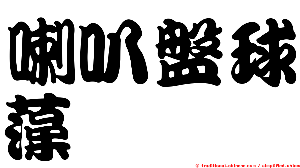 喇叭盤球藻