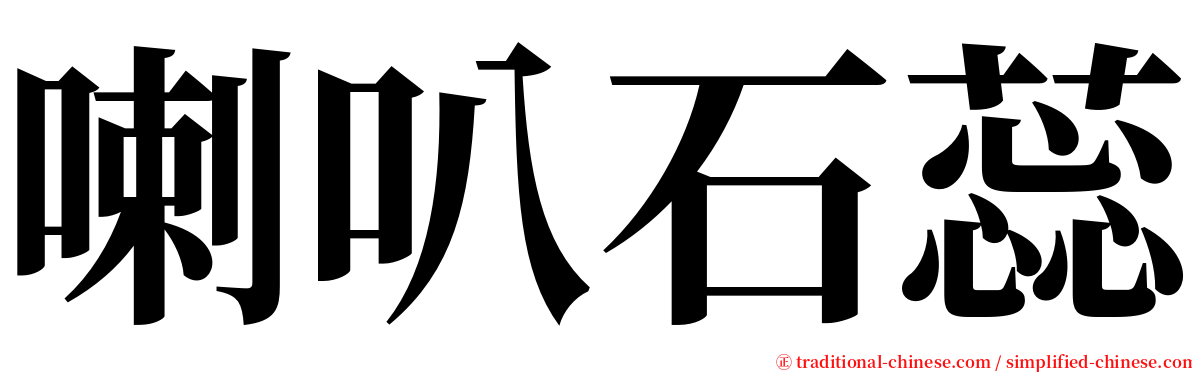 喇叭石蕊 serif font