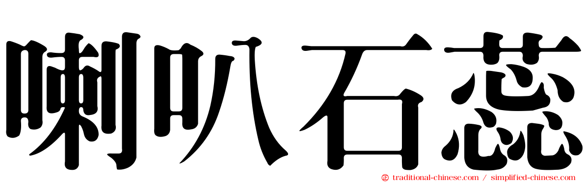 喇叭石蕊