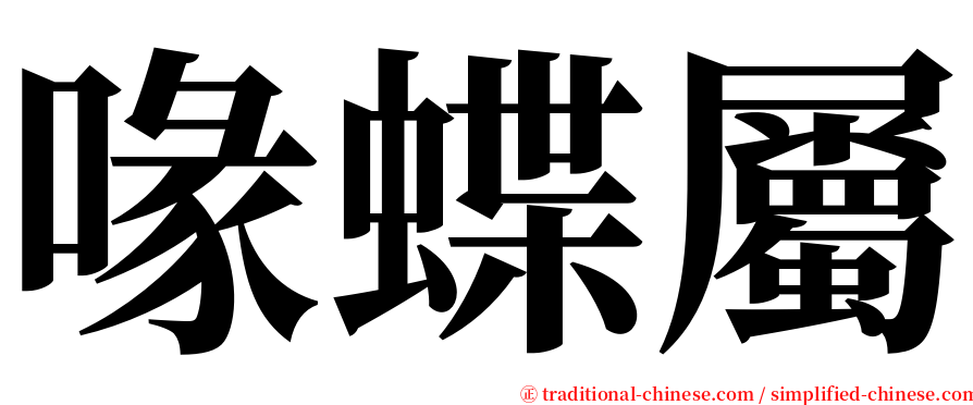 喙蝶屬 serif font