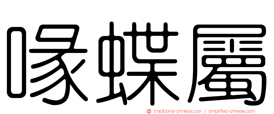 喙蝶屬