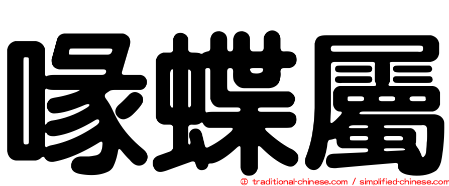 喙蝶屬