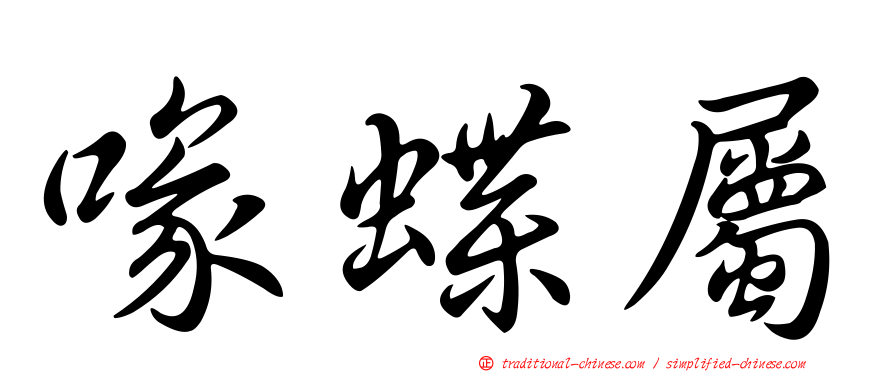 喙蝶屬