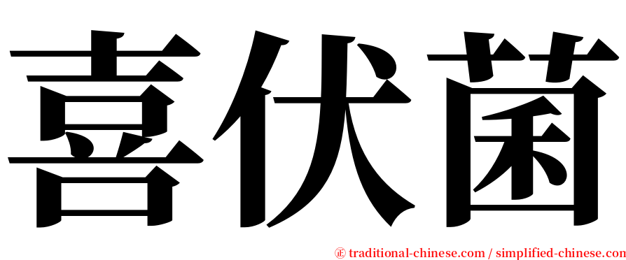 喜伏菌 serif font