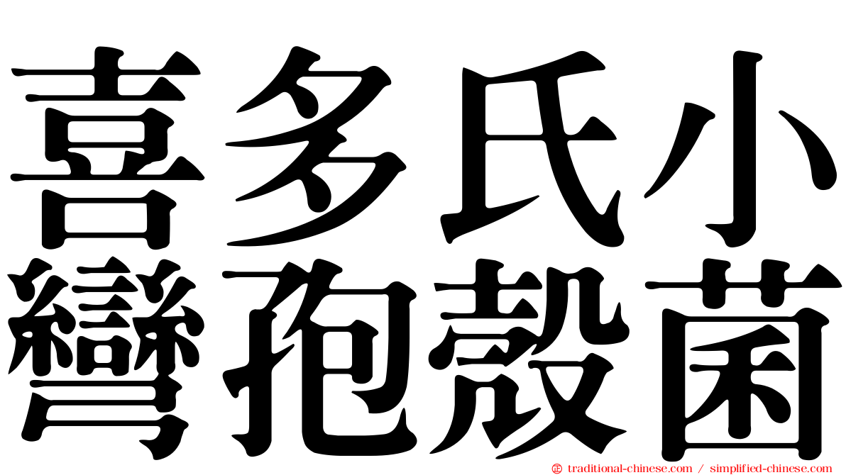 喜多氏小彎孢殼菌