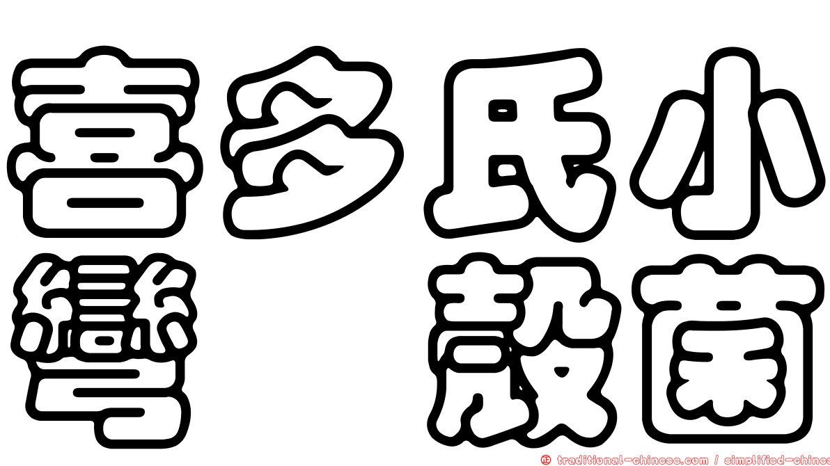 喜多氏小彎孢殼菌