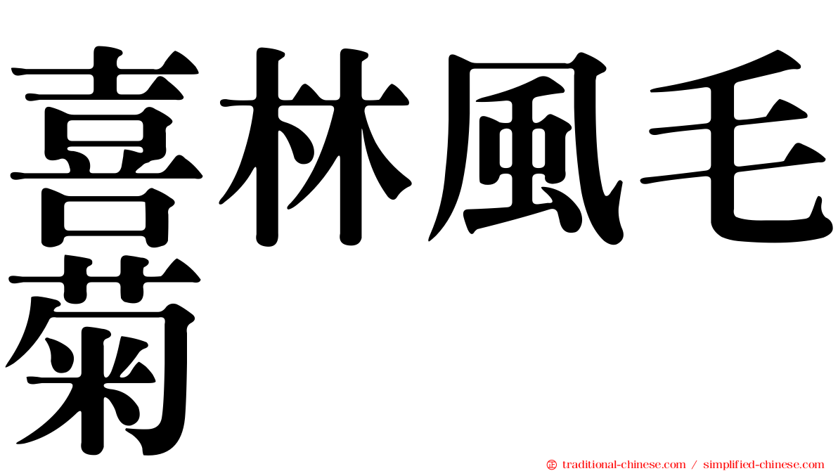 喜林風毛菊