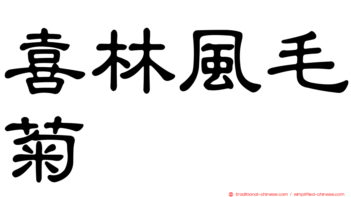 喜林風毛菊