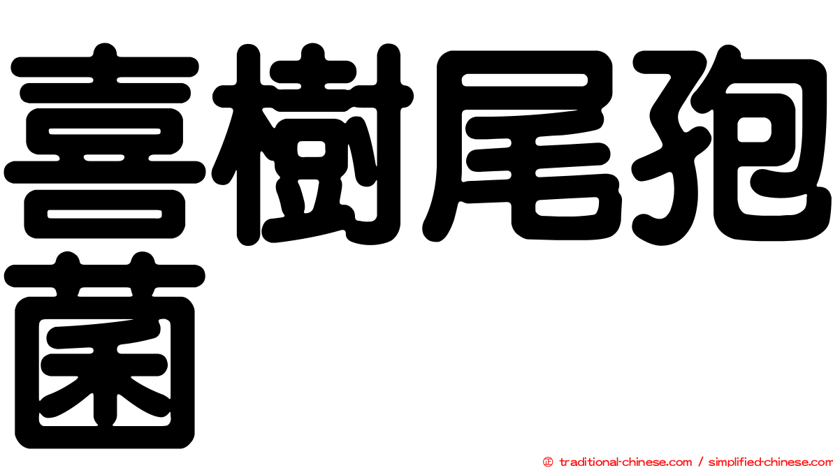 喜樹尾孢菌