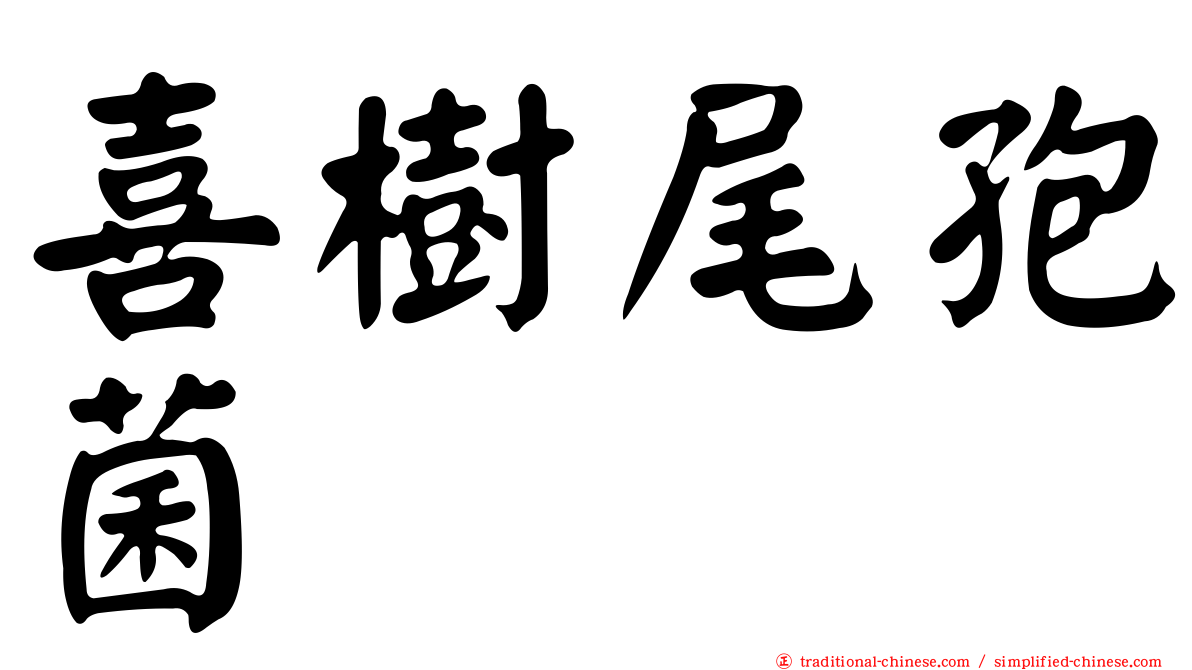喜樹尾孢菌