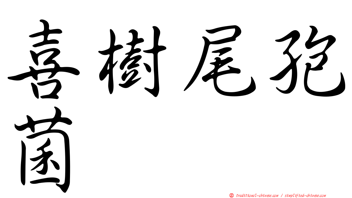 喜樹尾孢菌