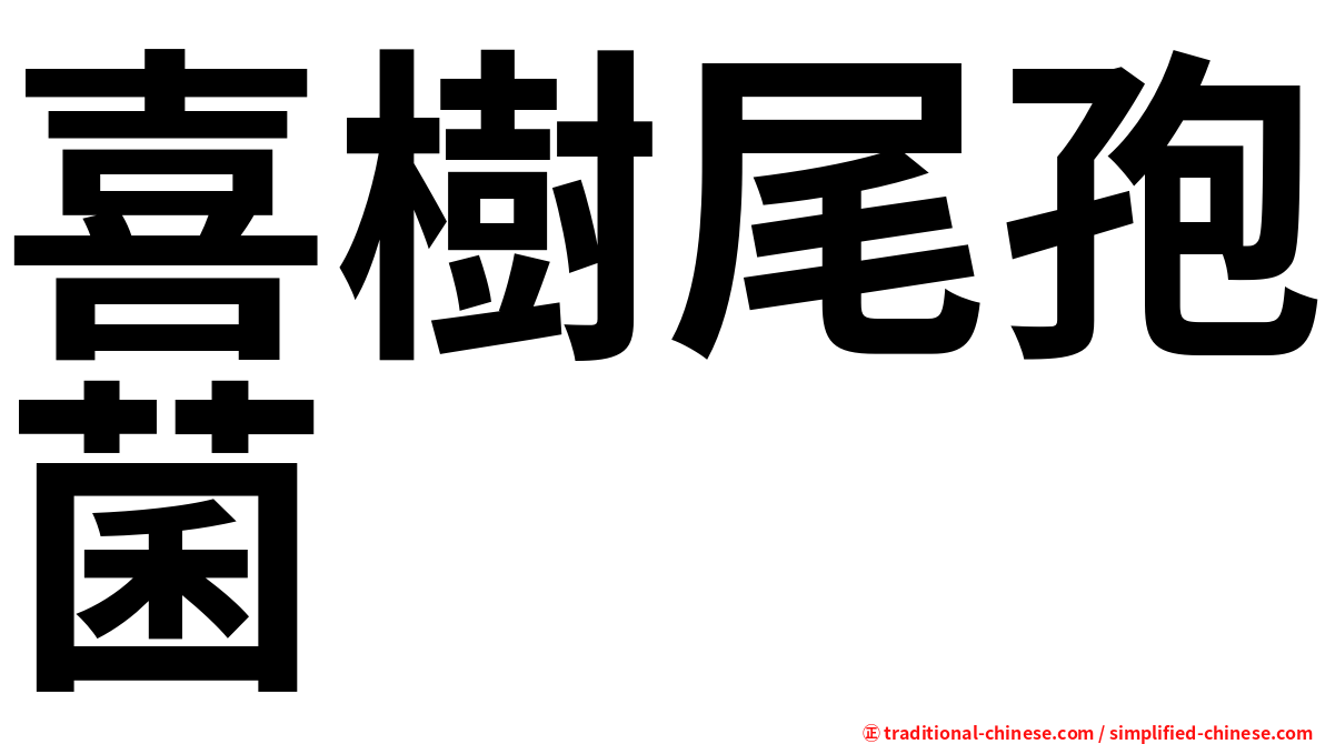 喜樹尾孢菌