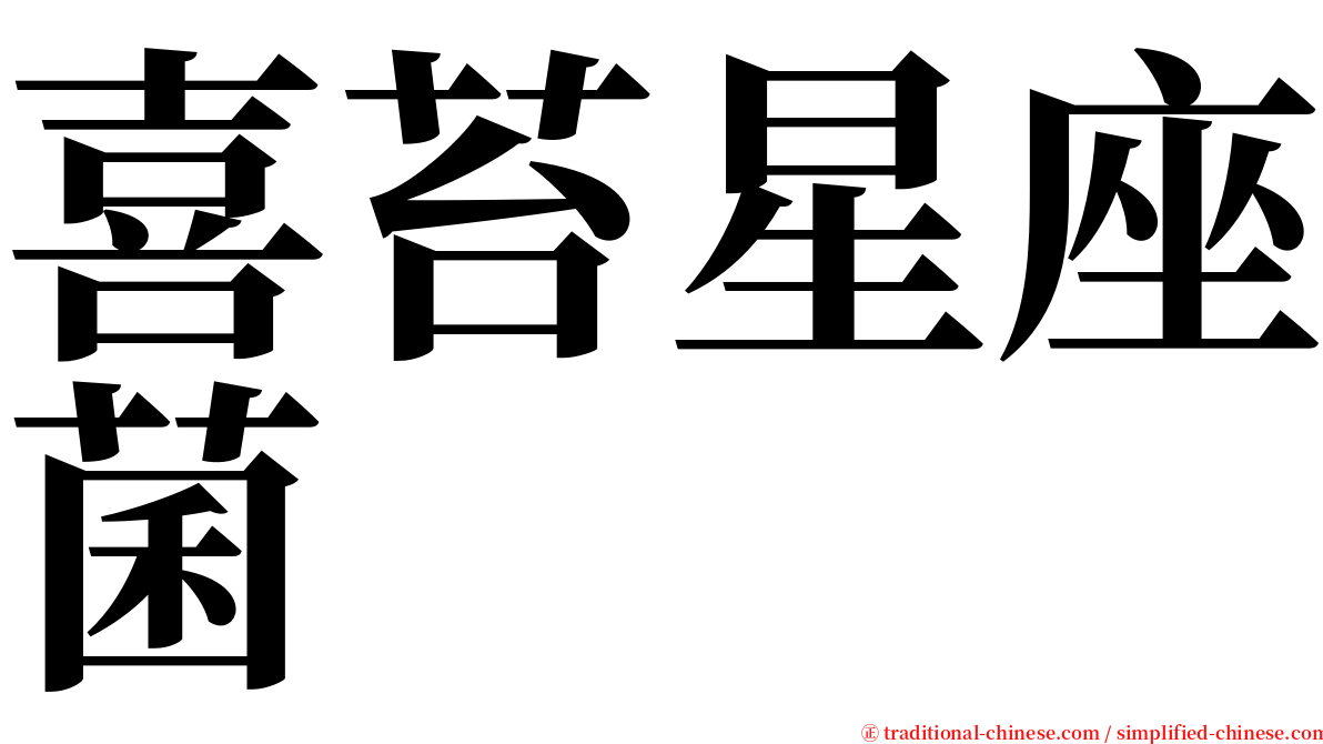 喜苔星座菌 serif font