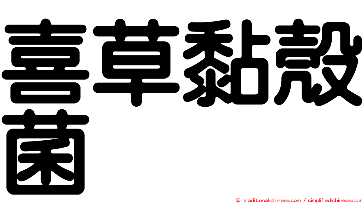 喜草黏殼菌