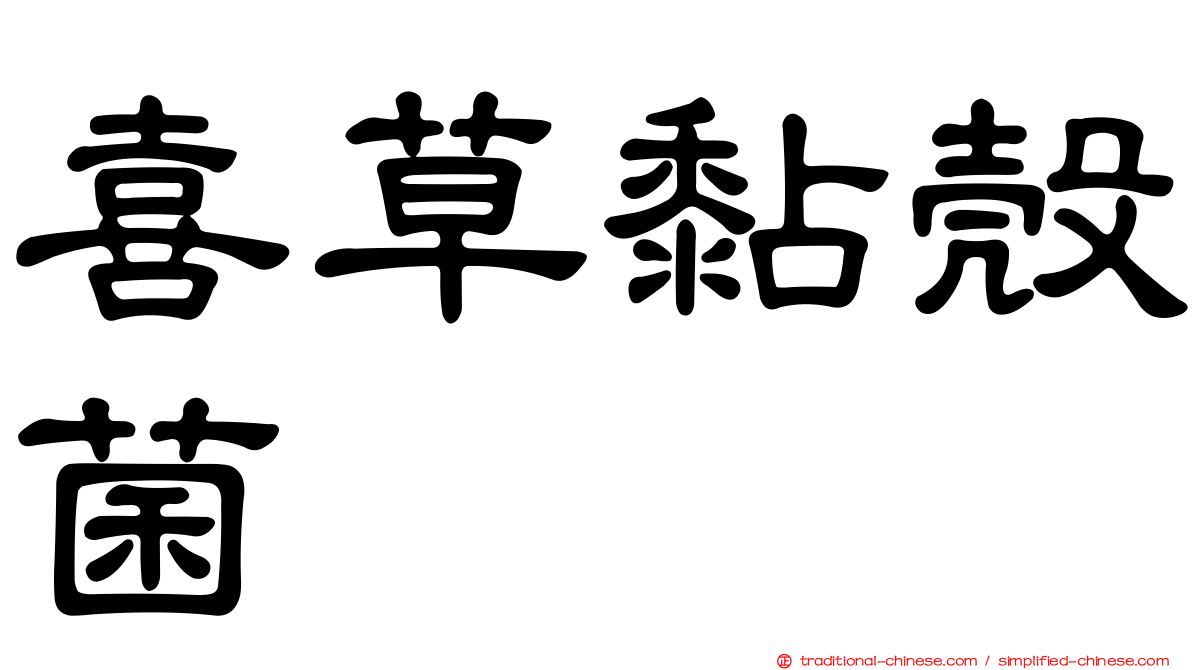 喜草黏殼菌