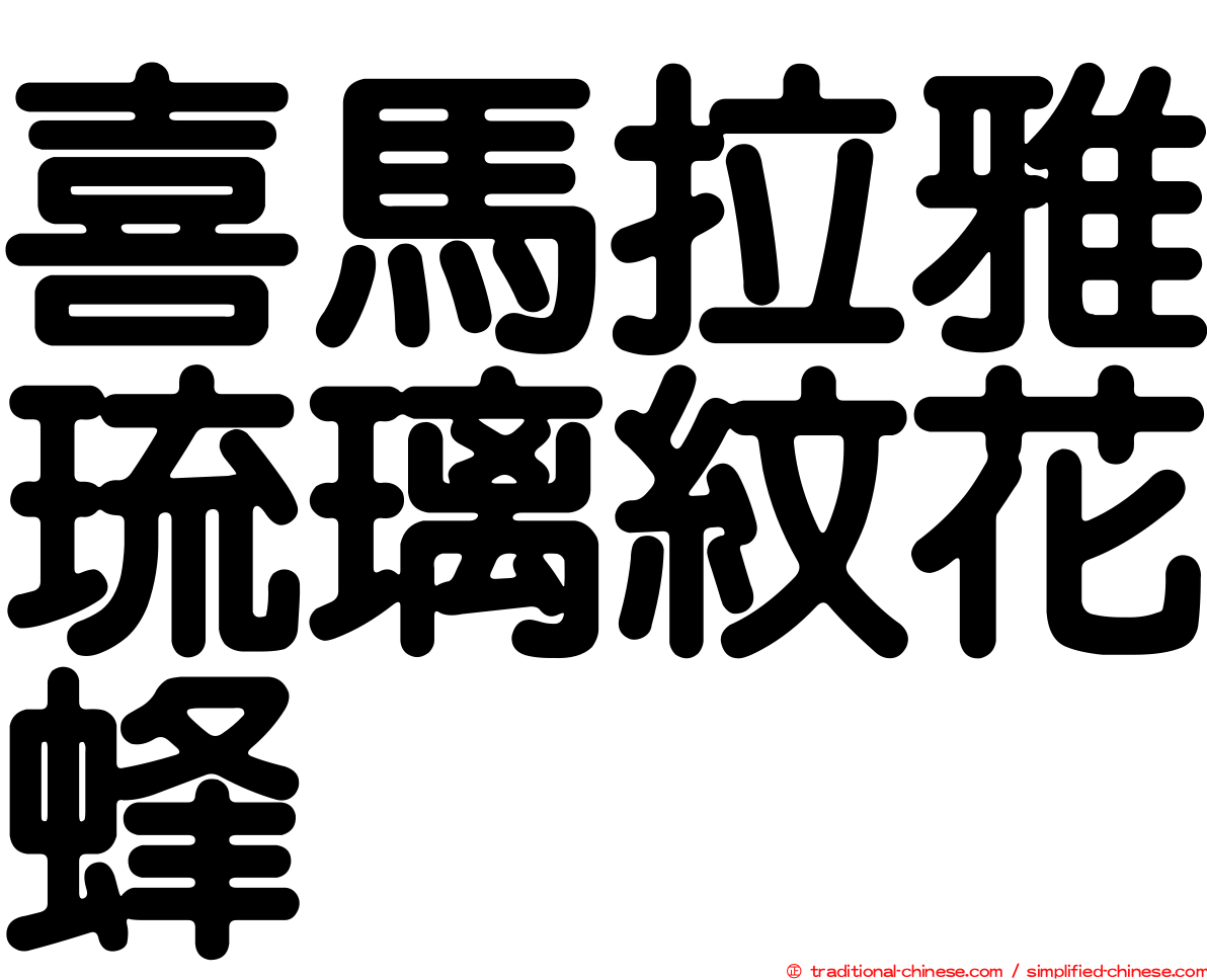 喜馬拉雅琉璃紋花蜂