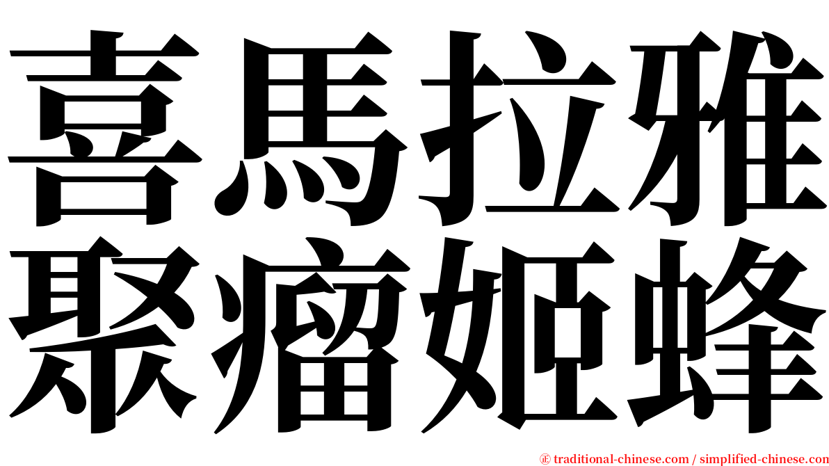 喜馬拉雅聚瘤姬蜂 serif font