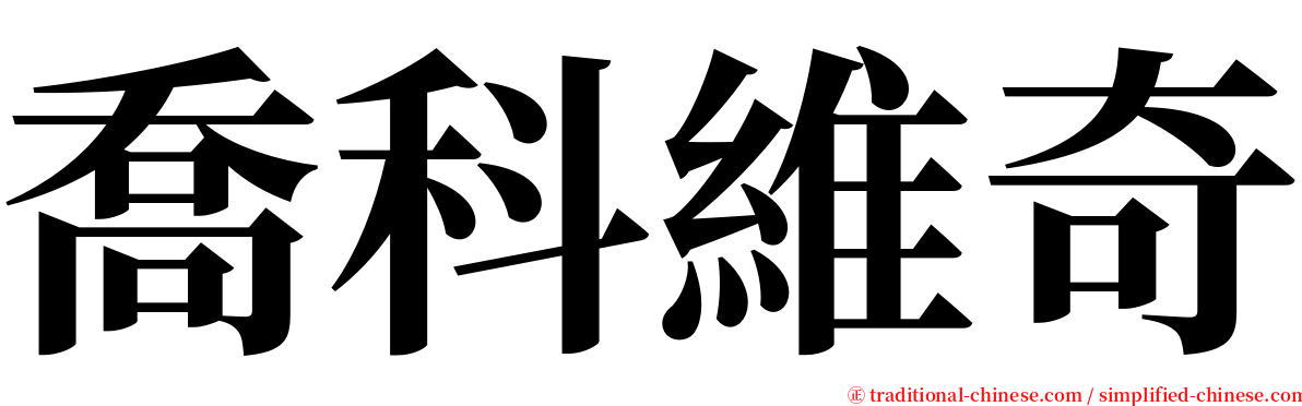 喬科維奇 serif font