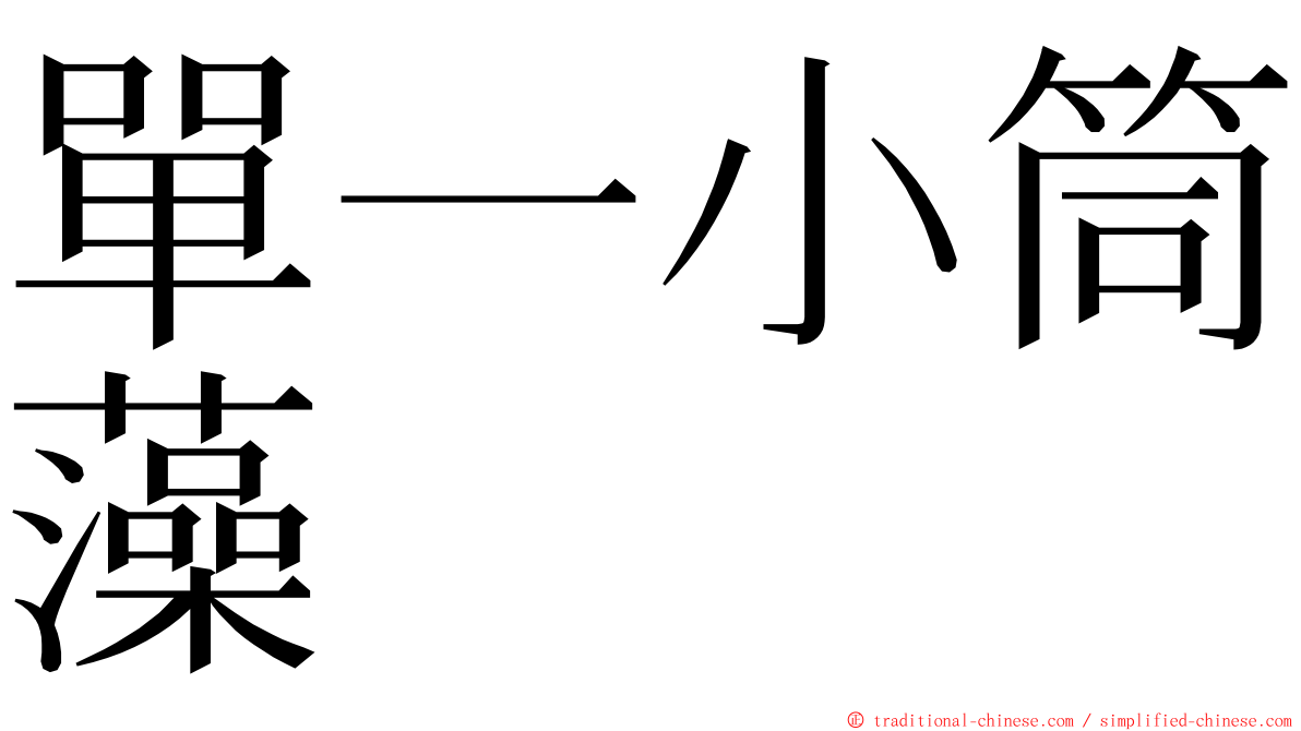 單一小筒藻 ming font