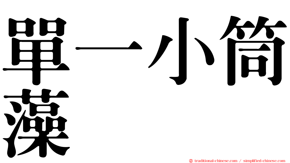 單一小筒藻