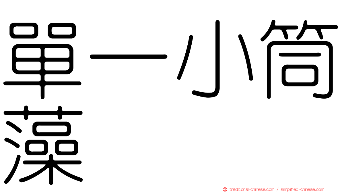 單一小筒藻