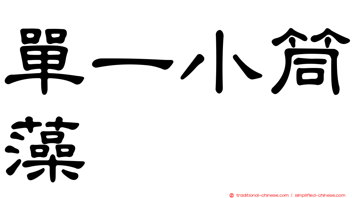 單一小筒藻